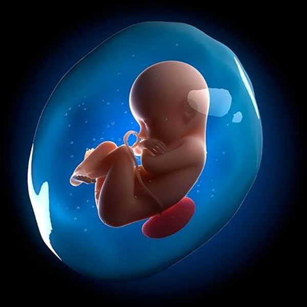 مایع آمنیوتیک چیست