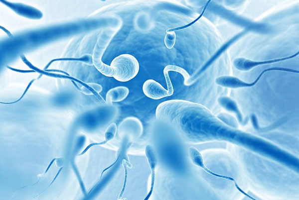 دلایل پزشکی کاهش تعداد اسپرم