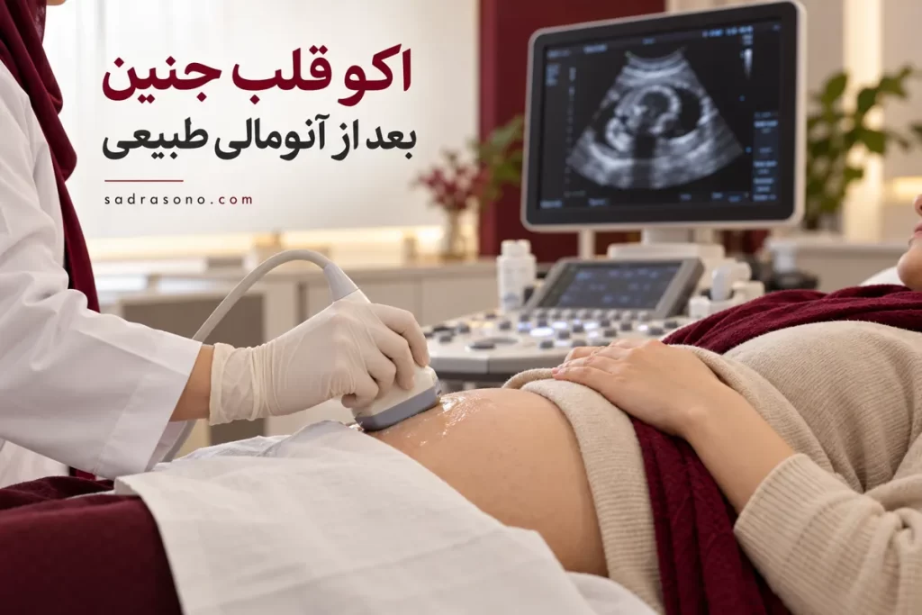 اکو قلب جنین بعد از آنومالی طبیعی؛ تصویر آموزشی معاینه سونوگرافی